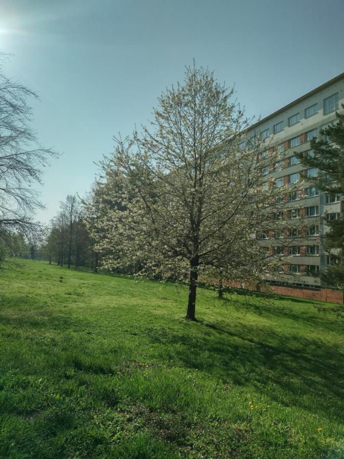 Flat Lesna Brno Apartment Luaran gambar